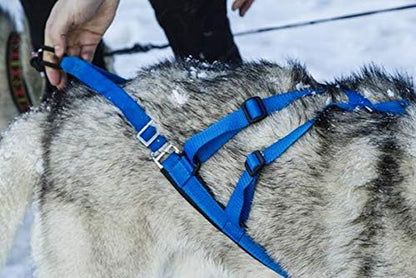 Adjustable Sled Pro Harness (Small, Red), Dog Harness Large Breed, Dog Pulling Harness, Giant Dog Harness, Sled Harness for Pulling, Great for Dog Joring